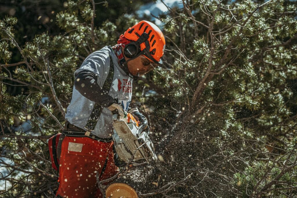 sawyer practices fire mitigation 
