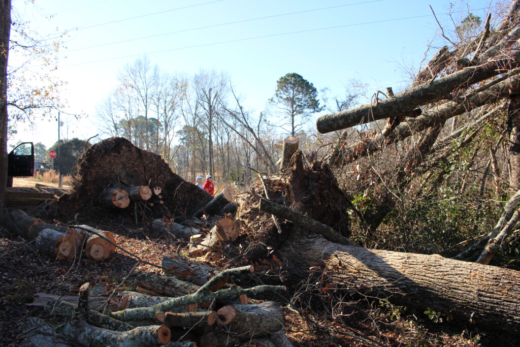 damage in Georgia Hurricane Helene