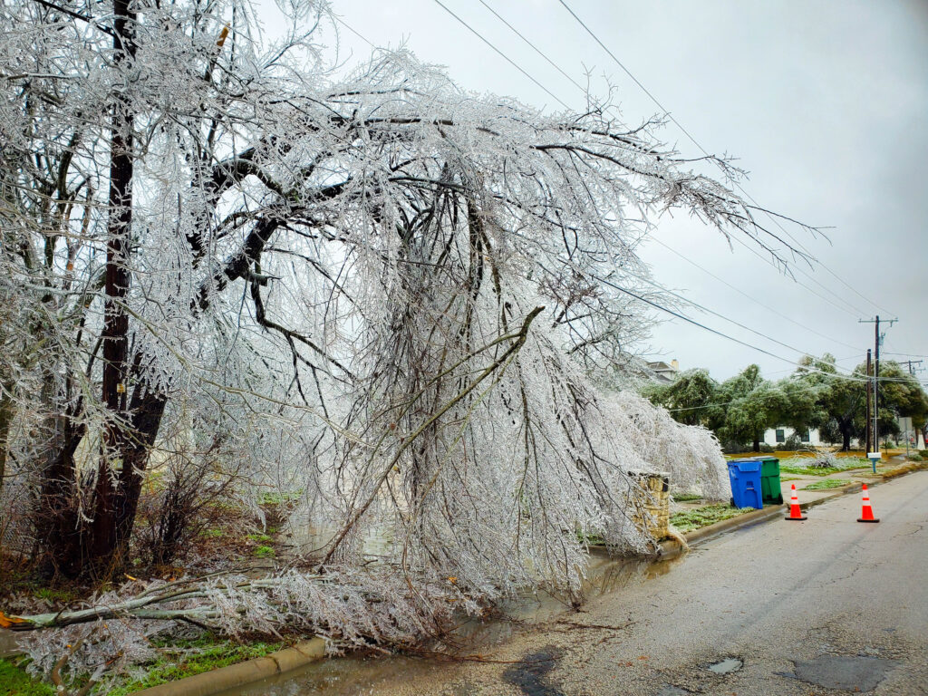 winter storm in texas