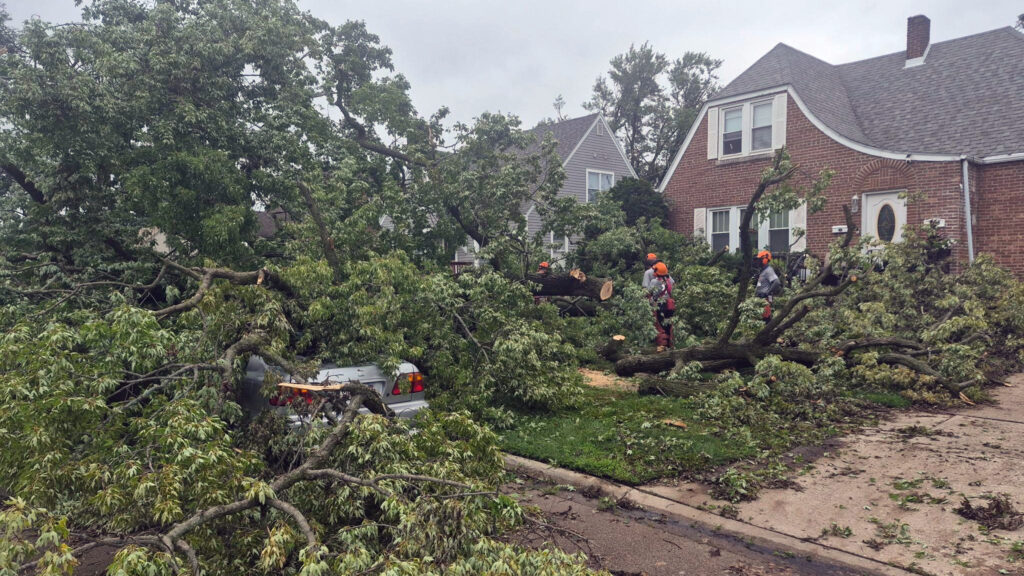 disaster relief volunteers remove trees in Illinois