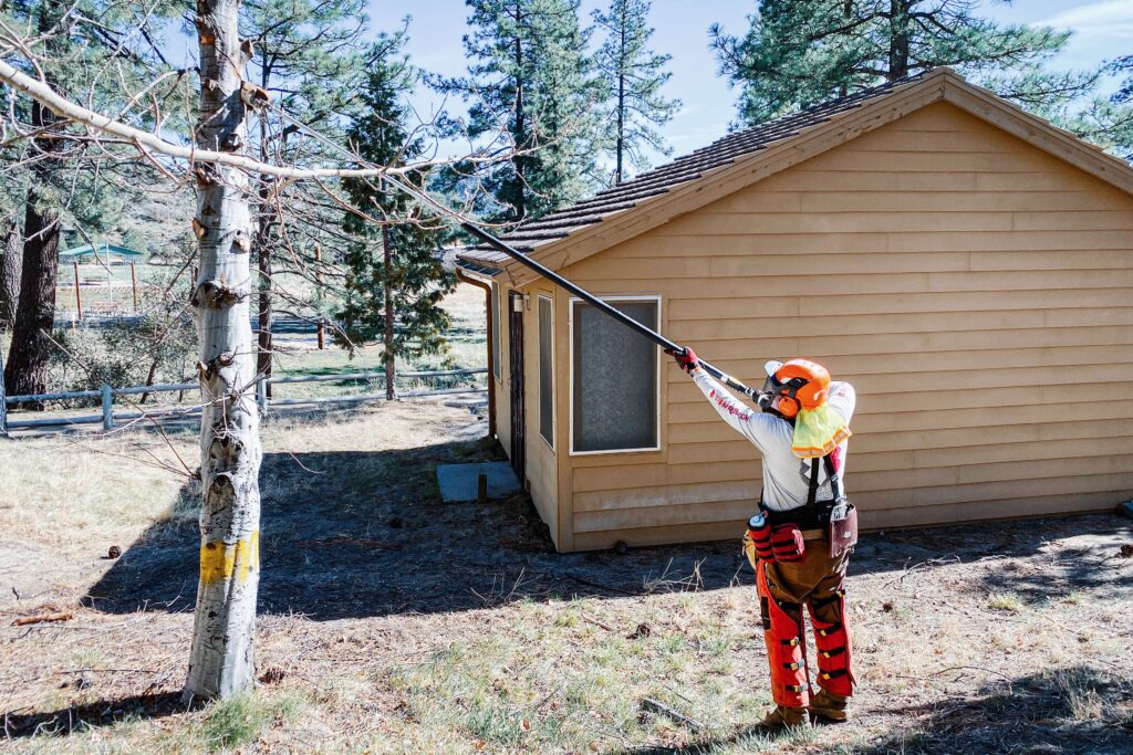 fire preparedness volunteer removes fuel near home
